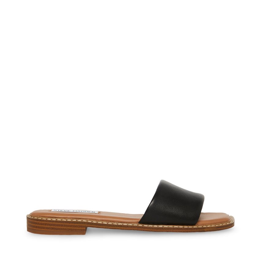 Black Steve Madden ra Leather Women's Slides | PH 5029WAU